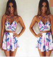 Conjunto Florido